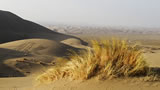 Iran Desert